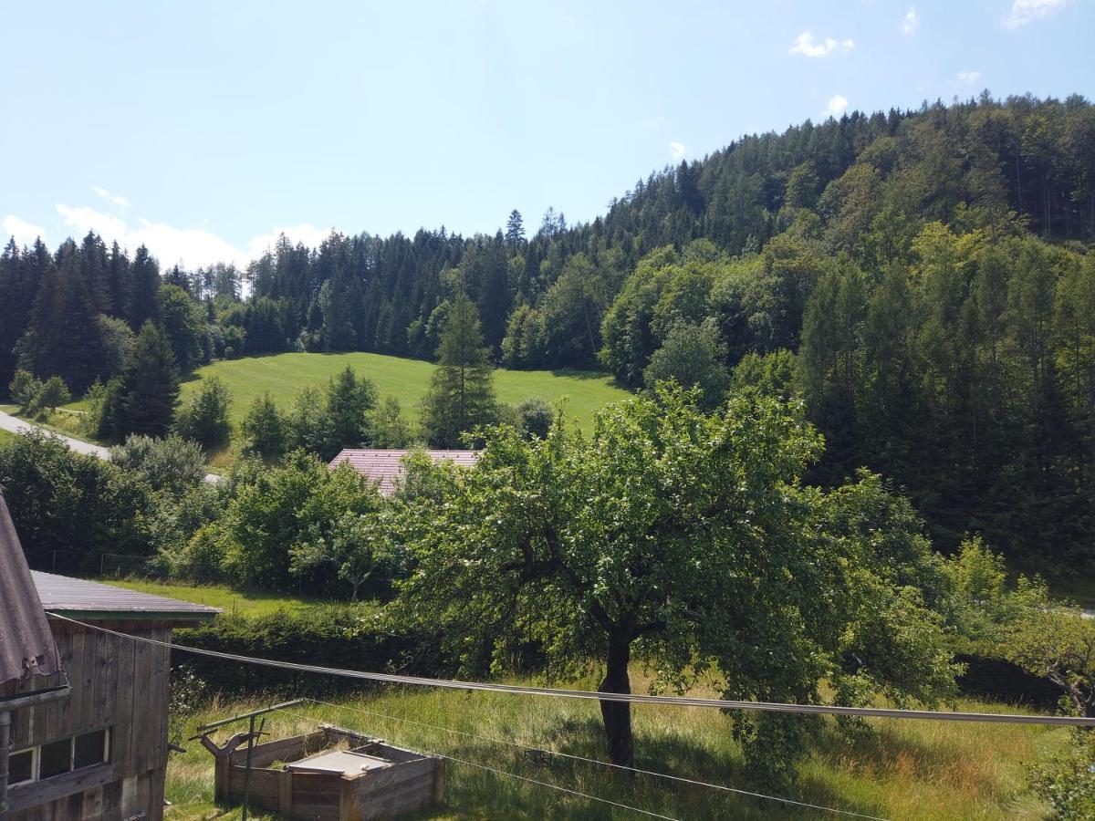 Ferienhaus Oma Hase Villa Mürzzuschlag Kültér fotó